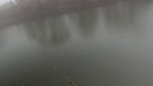 Abu Garcia REVO ULTRACAST BF8-L+ZoomSafari ZMSC-765L