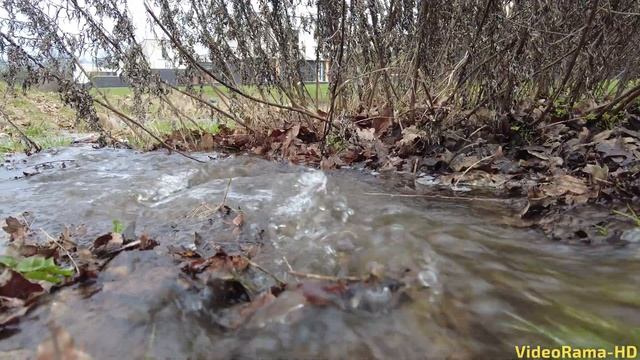 Wateroverlast door aanhoudende neerslag🌧️🌧️🌧️4K смотреть онлайн