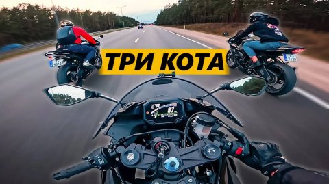 Три кота. Шестисотки от Кавасаки