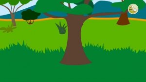 Safari - ducktv Favorites | ducktv