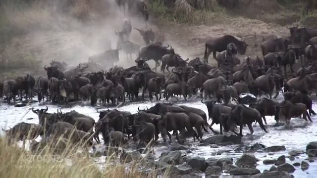 01-Stabilization-starter смотреть онлайн