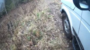 Покатушки на ниве по лесу