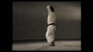 18 Каратэ. Наследие Накаямы. Ката Мейкио