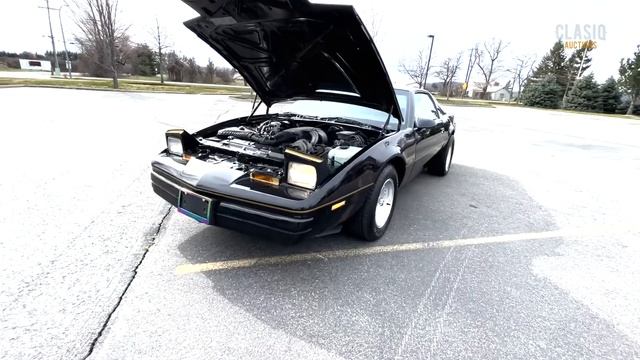 1989 Pontiac Firebird Walk Around смотреть онлайн