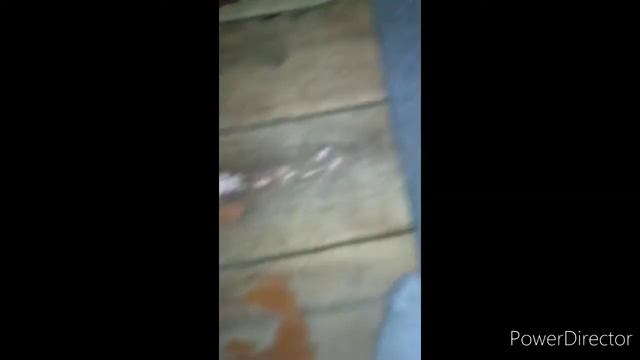 Выход из положения потеряли ключи от двери и не можете их найти лайфхак смотреть онлайн