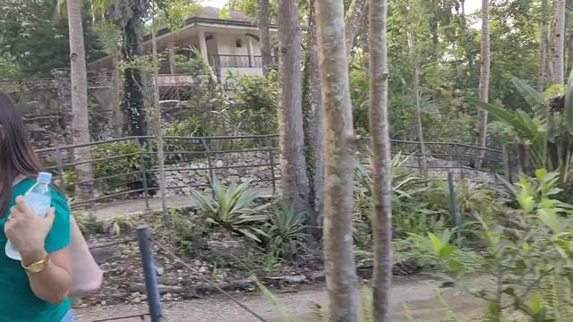 At Cebu Safari Adventure Park Part 2 | @psycherascon1915
