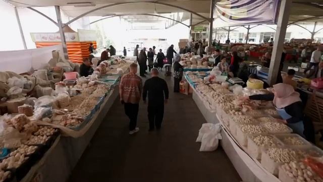 WELCOM TO TASHKENT 1