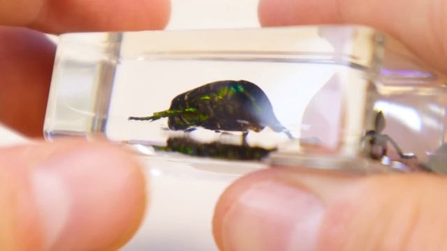 ТАКОЙ ШАШЛЫК ВЫ ЕЩЁ НЕ ПРОБОВАЛИ! КАК СДЕЛАТЬ МАНГАЛ ИЗ АРБУЗА НУБУ ИЗ МАЙНКРАФТ! СОБИРАЕМ ЖУКОВ! смотреть онлайн