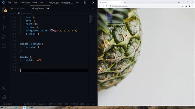 HTML Projects with Source Code for Beginners