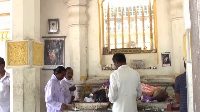 ANURADHAPURA SAFARI.mkv смотреть онлайн