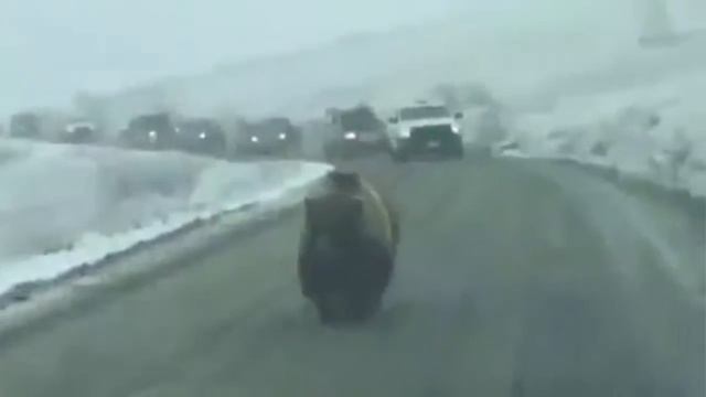 Она ушла рано утром смотреть онлайн