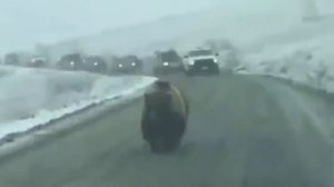 Она ушла рано утром