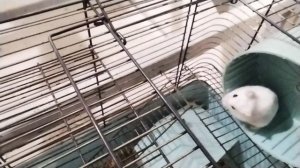 VID_20241026_200837.mp4