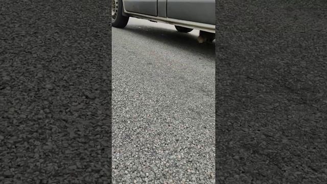 рэкетир на дороге в Беларуси 2021г