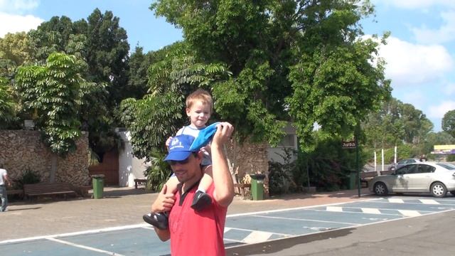 Сафари Рамат Ган 18 06 7 смотреть онлайн