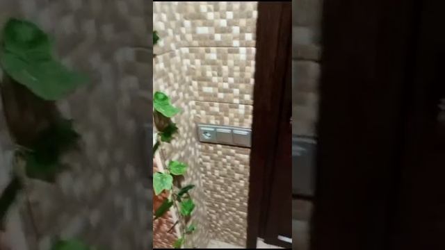 кладка плитки в ванной 🧽, санузел под ключ смотреть онлайн
