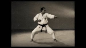 6 Каратэ. Наследие Накаямы. Ката Текки Шодан