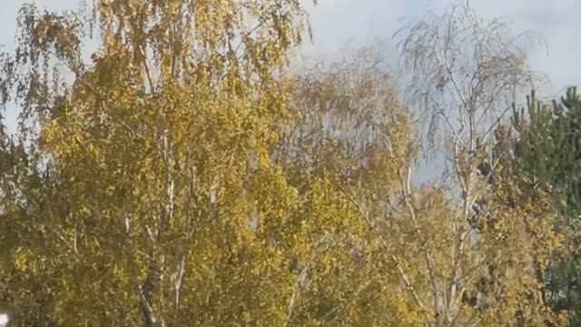 Жизнь в деревне___Будний день октября___ смотреть онлайн