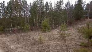 Река Салда,гора  Мельничная.