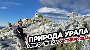 Природа Урала: гора Ослянка путешествие джип-тур 19 ноября 2024 г.