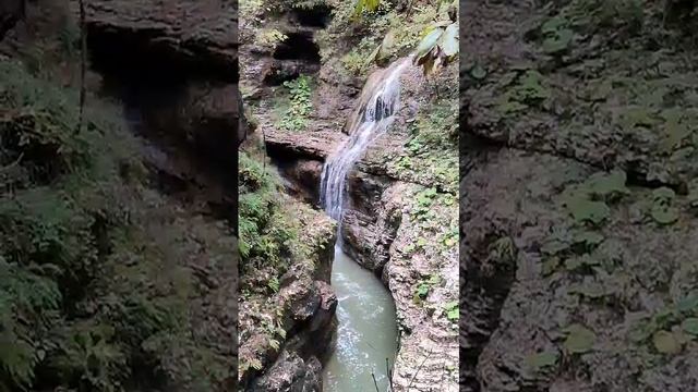 VID-20241019-WA0045.mp4