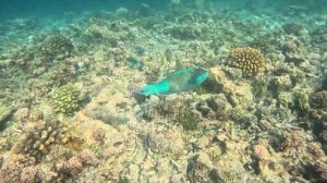 Angaga Island Resort Malediven 2023