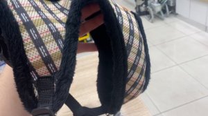 Меховая Шлейка для собаки Ferplast