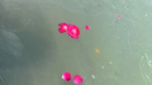 Медитация возле Ганги. Наполнись тишиной и блаженством. Музыка для медитации и расслабления.