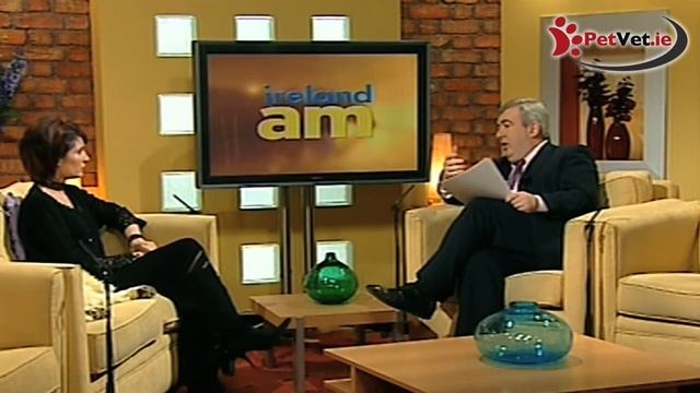 PetVet.ie - Annette on Ireland AM - Pet Vet Wexford смотреть онлайн