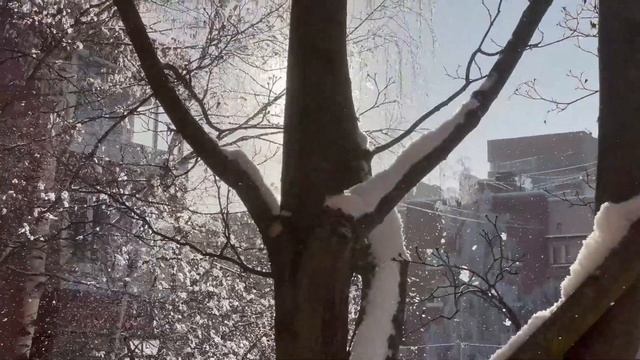 Зима постучалась в дверь!.. смотреть онлайн