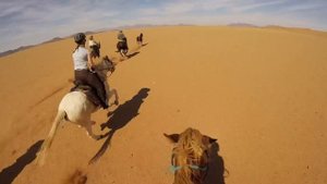 Horse riding in Namibia: Wolwedans to Wild Horses Safari - 21-31 May 2017 - Gallop!