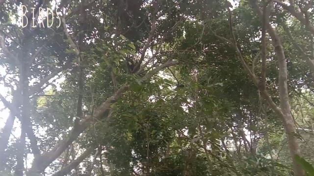 MY SAFARI ADVENTURE || CEBU SAFARI AND ADVENTURE PARK - PART 1