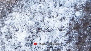 Медведи в горах! Будьте осторожны!