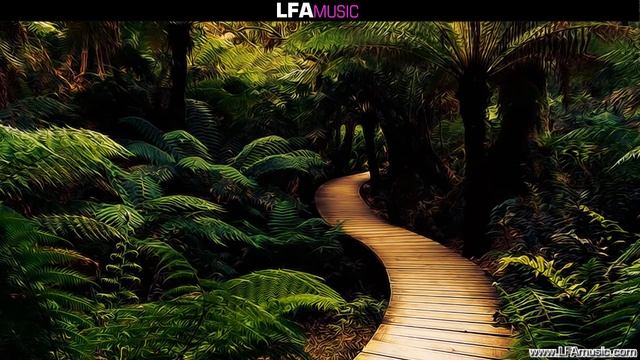 Myon  Shane 54 Vs Jaytech - In The Jungle Of Vela Caught Cheating Mashup