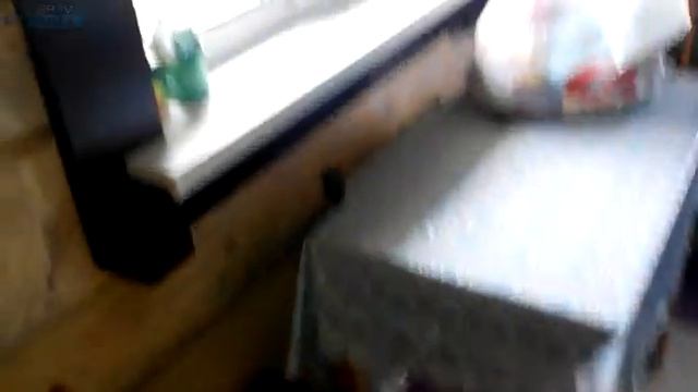 Калуга 5 Кухня. Щиток. Машинка стиральная смотреть онлайн