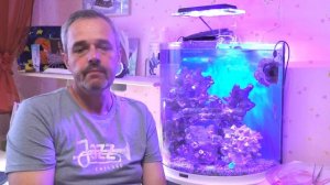 Часть 6 Итоги полугодия в морском аквариуме