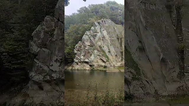 VID-20241019-WA0043.mp4
