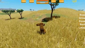 Roblox Playbox Safari Bigfoot showcase!
