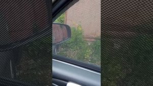 отзыв , шторки Трокот