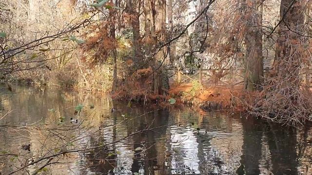 Три самых важных вопроса для понимания, что для нас важнее всего в жизни. Какая цель самая важная? смотреть онлайн