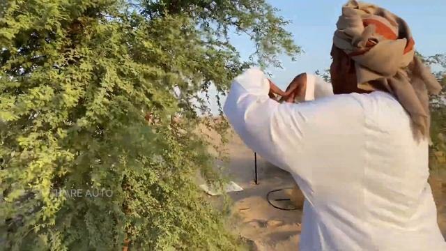 Desert Safari - Part 2 / Muscat Vlog - Desert Tour смотреть онлайн