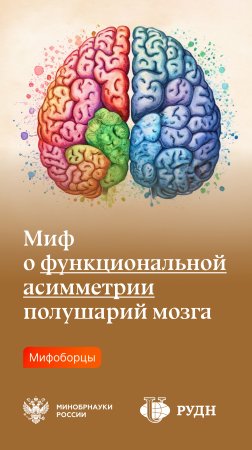 Миф о функциональной ассиметрии головного мозга