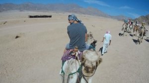 Мега Сафари (4 в 1) Шарм Эль Шейх