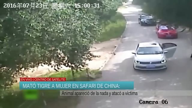 Mató tigre a mujer en safari de China