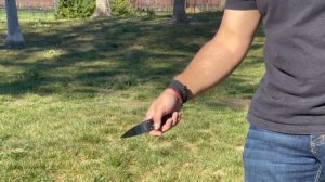 SHOCKINGLY SECRET EDGE FOR SNEAKY EDC? Cold Steel Secret Edge Review