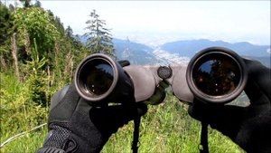 Steiner Safari 12x40 | Fernglas | Binoculars | бинокль