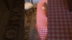 Традиционная английская еда. Как живут англичане.