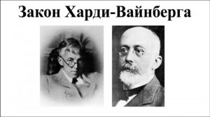 Закон Харди-Вайнберга