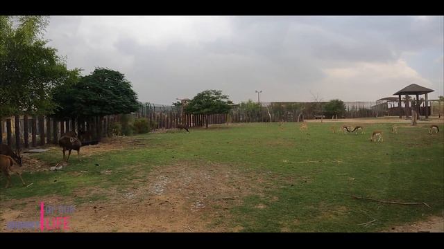 Dubai Safari park/Part 3/2020/Malayalam/DUBAI SAFARI PARK Adventure