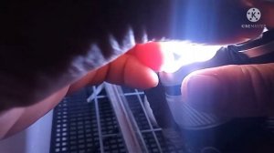 инкубация, овоскопирование на 6 день.